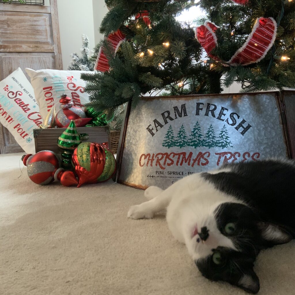 Tree collar kitty christmas farmhouse christmas